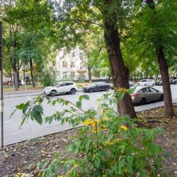 2-комнатные апартаменты улучшенные