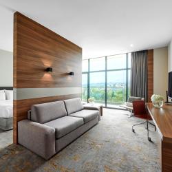 Pullman Sochi Centre (Пуллман Сочи Центр) — 46e26b0498e498e647184eb901d8d8a7