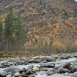 Фото Отель Terskol Star (Терскол Стар)