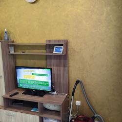 Фото Апартаменты на улице Мичуринская 213Г