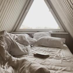 Дом у сосны