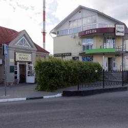 Фото Отель Родина