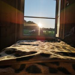 Фото Отель Парк Южного Периода
