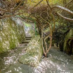 Фото Отель Актер