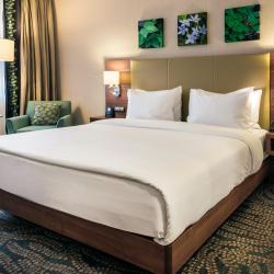 Фото Отель Hilton Garden Inn Astana (Хилтон Гарден Инн Астана)