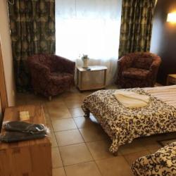 Фото Отель Родина