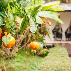 Фото Отель Романов