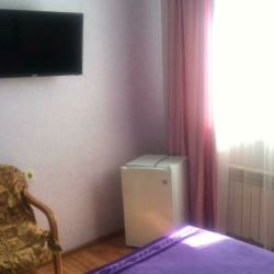 Фото Отель Альбина