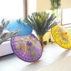 Фото Отель Юго-Восточная Азия Этномир