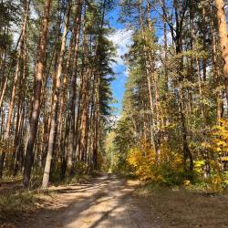 Фото Отель Энергетик