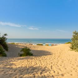 Фото Отель AlfaSummer (АльфаСамер)