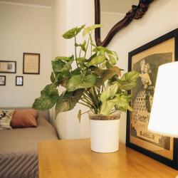 фото 4 LovelyHome 39 (ЛавлиХоум 39) на улице Комсомольская 77А