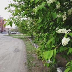 Фото Отель Колибри