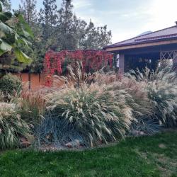 Фото Отель Пан Азиат