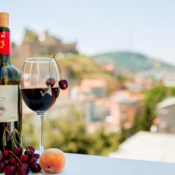 Фото Отель GvinoMinda Hotel (ГвиноМинда)