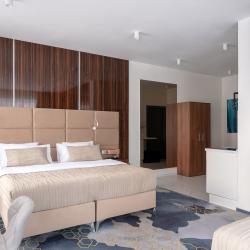 1-комнатные апартаменты люкс для 5 гостей в V hotel