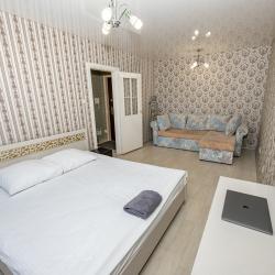 Фото Отель Илне Однокомнатная квартира на Республике 58А