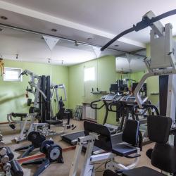 Коттедж премиум