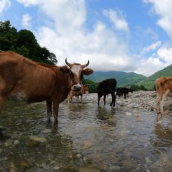 Фото Отель База отдыха Страна души