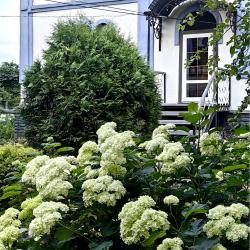 Фото Отель Лавандовый сад