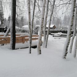 Фото Отель Гостевой дом Окулова Заимка