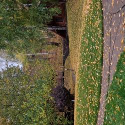 Фото Отель Каменный цветок