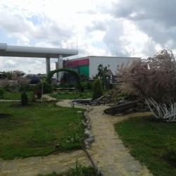 Фото Отель Роза Ветров