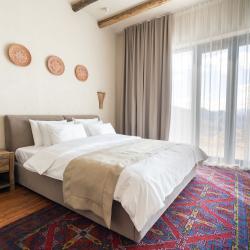 Номер люкс с 1 двуспальной кроватью, ванной и террасой