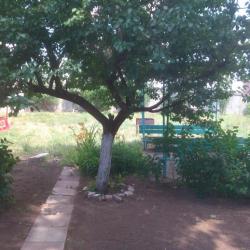 Фото Отель Берег