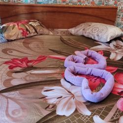 Фото Апартаменты на переулке Молодежный