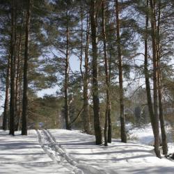 Фото Отель Княжья речка