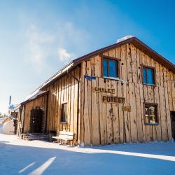 Фото Отель Шале Форестклаб