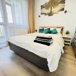 Фото Апартаменты Шик