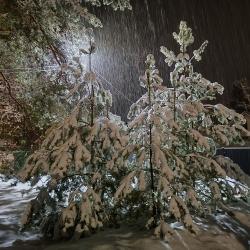 Фото Отель Дом Чистое