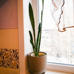 Фото Апартаменты на улице Лазо 37