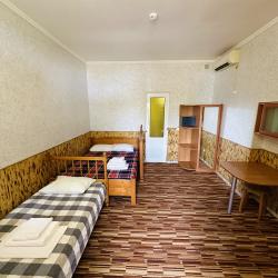 3-местный номер делюкс с 1 односпальной и 1 двуспальной кроватью
