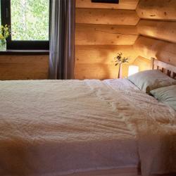 Фото Отель Новгородская Деревня