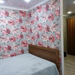 Фото Апартаменты на улице Герцена