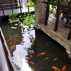 Фото Отель Belvedere (Бельведер)