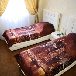 Номер стандарт с 2 односпальными кроватями (с завтраком)