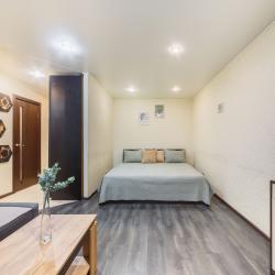 Фото Отель ApartLux (АпартЛюкс) на улице Шепелюгинская