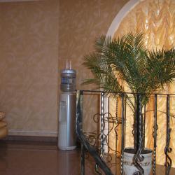 Фото Отель Сосновый бор