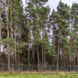 Фото Отель Коттедж в Щелково