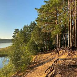 Фото Отель Дом на улице Набережная 31