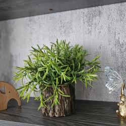 Апартаменты улучшенные