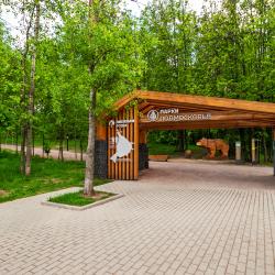 Апартаменты студия