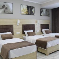 Фото Отель Shosh Modern (Шош Модерн)