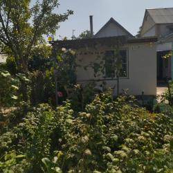 Фото Отель Дом около парка