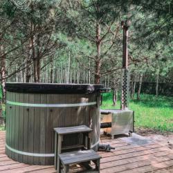 Фото Отель Дыши лесом