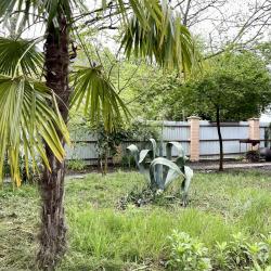 Фото Отель Зеленая Долина